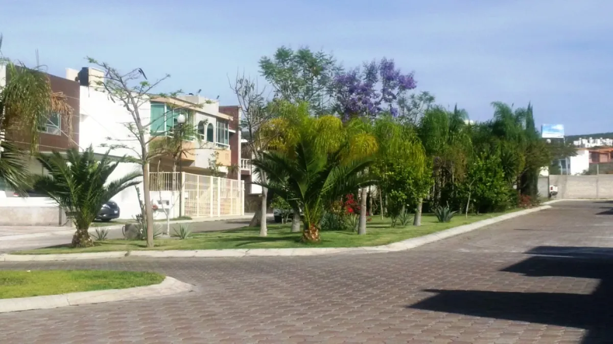 Vialidad interior Casa Venta Palomar del Rey Querétaro